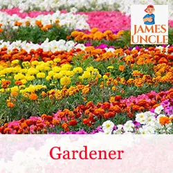 Gardener Mr. Mali Shyamal in Pathanberia